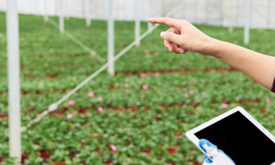 1xBET·Signup(中国区)-官方网站