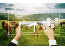 1xBET·Signup(中国区)-官方网站