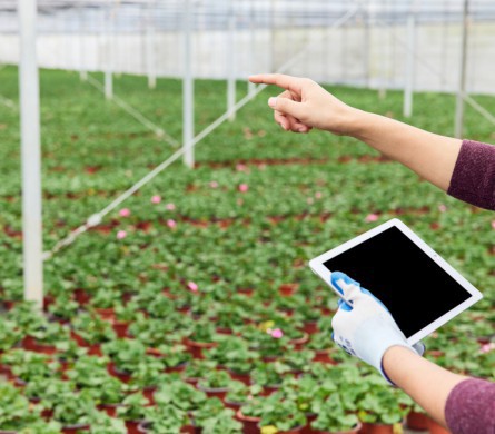 1xBET·Signup(中国区)-官方网站